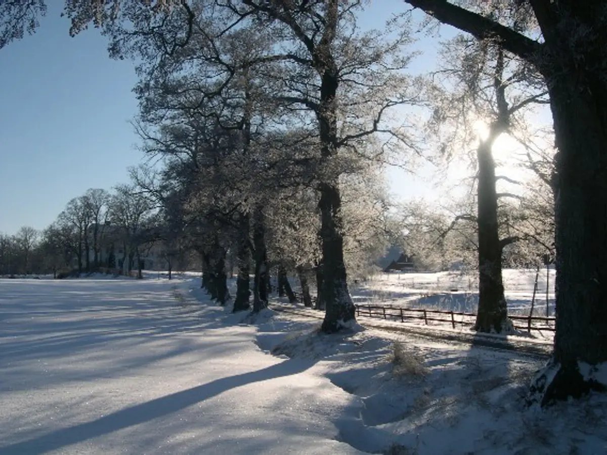 Från idé till skalbar vinst, modellera din framgång med Business Model Canvas.